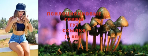 трава Медногорск