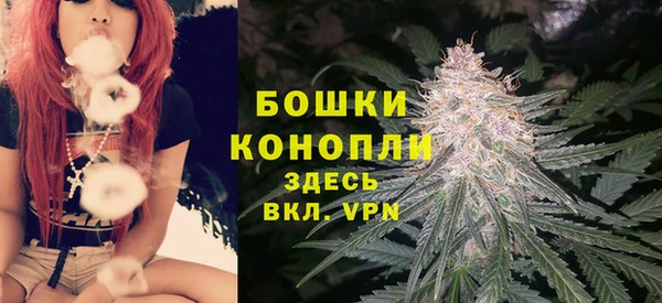 трава Медногорск