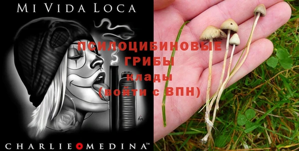 трава Медногорск