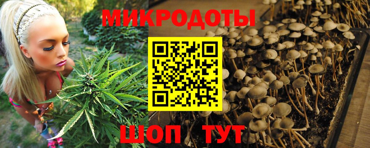 Галлюциногенные грибы прущие грибы Южноуральск